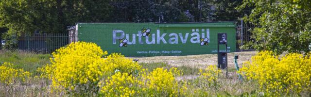 Hindrek Riikoja: Keskerakonna valitsusajal muutus Tallinn elanikule palju mõnusamaks. Kas nüüd ka ausamaks?