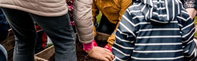 Tartu lasteaedades arendatakse keskkonnasäästlikku ja kestlikku toitlustamist