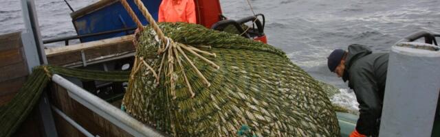 Eesti saavutas oma eesmärgid läbirääkimistel püügivõimaluste üle Atlandi ookeanil