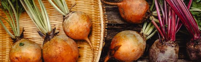 KEVAD ON EES: tee valmis oma juurviljaplaan!