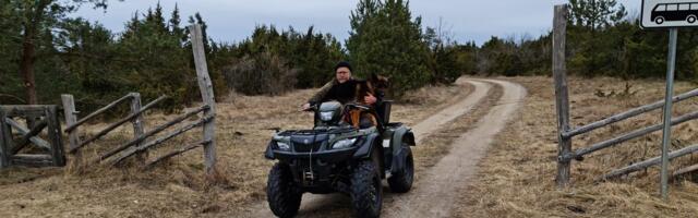 Randa viiva tee autodele avanud maaomanik: „Kõige leebem sõna, mis mulle on öeldud, on „idioot““