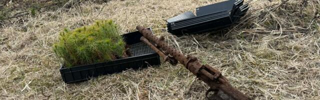 Lõunaeestlase eksklusiiv: metsaistutuse käigus leiti vana Saksa kuulipilduja