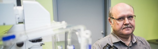 Koroona ja valimised: Eesti juhtivad viroloogid kutsuvad üles e-hääletama, kuid peavad lähiaja suurimaks riskiks hoopis koolivaheaega