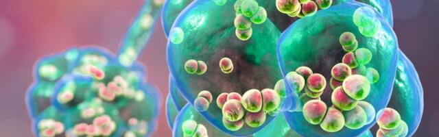 Haigestumus pneumokokk-nakkustesse on Eestis kasvamas