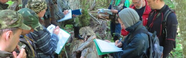 Soome metsanõunik: Euroopa käsul ei saa metsandust imeliselt muuta