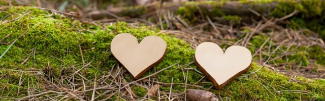 SA Kadunud: lugu inimestest, kes ei anna alla!