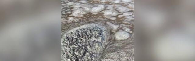 VIDEO | Leningradi oblasti elanikud arvavad, et rannas on naftareostus. Võimud: Ust-Lugas leket ei ole