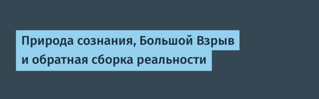 Природа сознания, Большой Взрыв и обратная сборка реальности