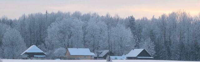 Kiirkäigul talve. Kuidas edasi?