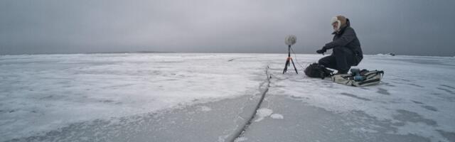 John Grzinich Tartu Kunstimajas