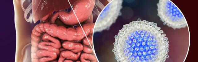 Eesmärk: Likvideerida C-hepatiit ka Eestis aastaks 2030