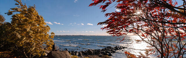 Октябрь в Эстонии был теплее и солнечнее обычного