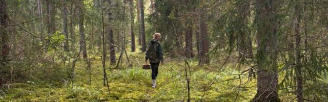 Ebatavaline üleskutse: Soome üliõpilane otsib endale Eesti vanaema