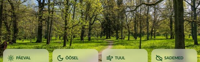 ILMATEADE | Nädala lõpp tuleb päikeseline, metsades on suur tuleoht