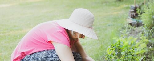 Pärandilinn Viljandi kuulutas välja aasta teema ning otsib uut linnameistrit