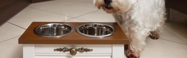 PetCity ärikahjum aastaga kümnekordistus