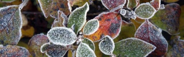 Keskkonnaagentuur hoiatab: täna öösel langeb temperatuur kohati -6 kraadini