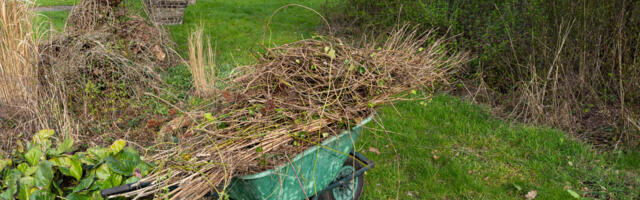 Aiajäätmete üleandmine muutub Tallinna jäätmejaamades soodsamaks