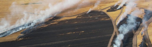VIDEO ja FOTOD | Jõgevamaal põles viljapõld kaheksa hektari ulatuses, tuld kustutasid mitme maakonna päästjad