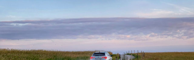 Kust tuli eesti keelde mõiste “iselaadiv hübriid”? Meie teame vastust!