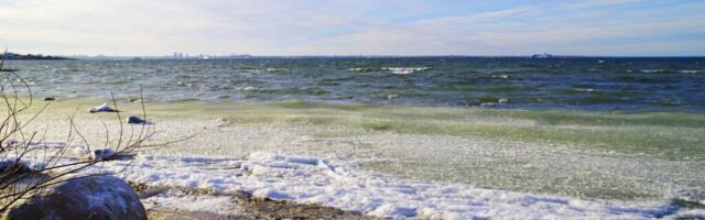 Jaanus Volmre NÄDALA GALERII