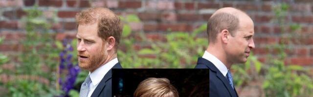 ENNE, KUI HILJA ⟩ Diana parim sõber loodab, et Diana sünged saladused lepitavad Harry ja Williami