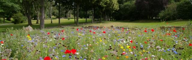 Sel nädalal tähistatakse loodust – üle Eesti toimuvad sündmused, mis keskenduvad elurikkale aiale