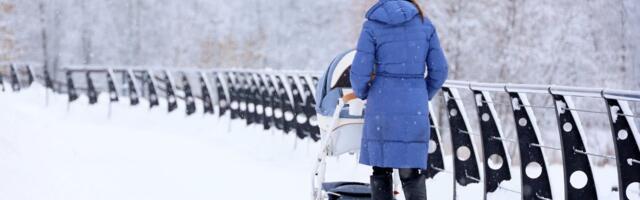 Vanemapalga kärpimine säästaks riigieelarvest üllatavalt väikese summa