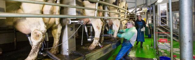 Tööinspektsioon avaldas kontrolliplaani: nimekirjas üle 1700 ettevõtte