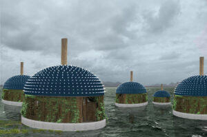 Kui läheks päikesele vastu ja jätaks varjud selja taha