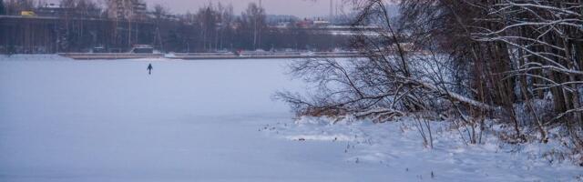 Saadjärve lastud klaasangerjaid ootas jäises vees surm