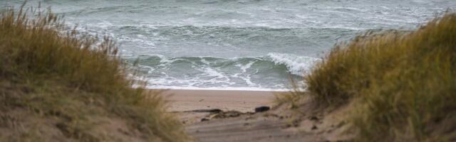 ILMATEADE | Viimane külm päev, peale mida tõuseb tormituul