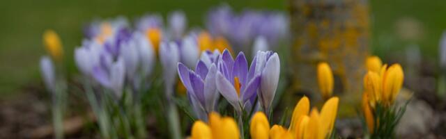 Nädalavahetuse ilm: päikeselised päevad ja külmad ööd