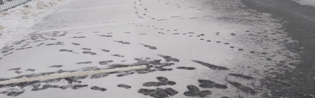 JUHTKIRI: Viimsi vallavõim lörtsis kaasava eelarve olemuse