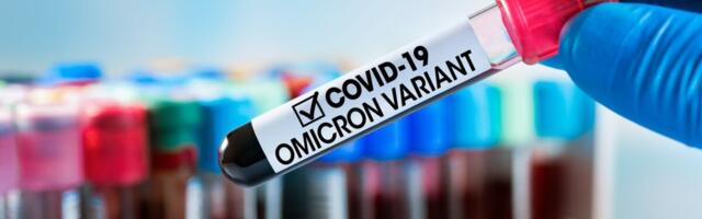 Eksperdid: omikron takistab karjaimmuunsuse teket