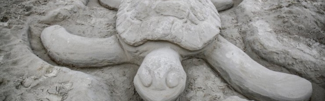 PILTUUDIS | Haabneeme randa kerkisid roomajate liivaskulptuurid