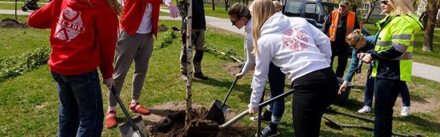Tänavatele 1000 uut puud ja raha tugispetsialistidele