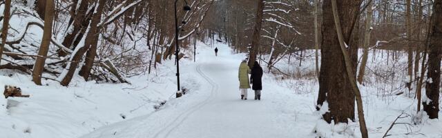 KÕVA SÕNA: suusataja mure Karulaugu rajal