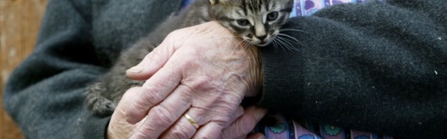 Pikaajaline hooldus: tuge vajavad nii hooldatavad kui hooldajad