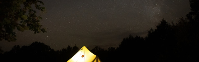 Romet Vaino: igatsedes olevikku