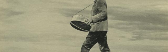 Hall vanamees külvab kolmejalgselt hobuselt seeni