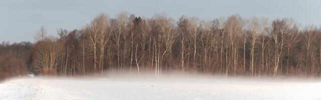 Ivan Makarov: lumi sädeleb ja mustad varjud kaovad…
