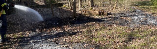 Lõuna päästekeskuse päästjatel oli töine ööpäev