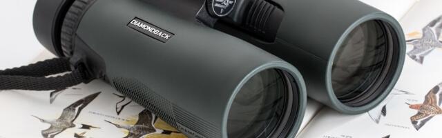 Laupäeval saavad huvilised tornides linde vaadelda