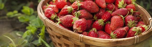 RETSEPTID | Paljast maasikast villand ja tahaks midagi põnevat? Proovi neid tuliseid retsepte!