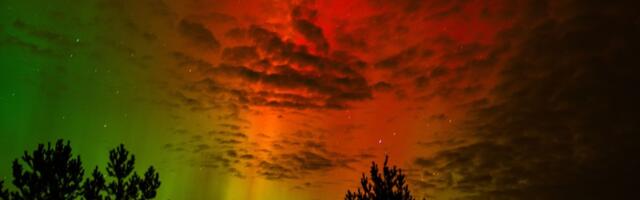 FOTOD | Võimas vaatemäng: öösel sai taevas imetleda virmalisi