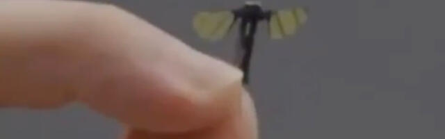 VIDEO: Hiina sõjavägi esitles sääsesuurust luuredrooni