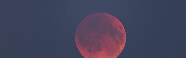 FOTOD | Öötaevas sai näha täielikku kuuvarjutust