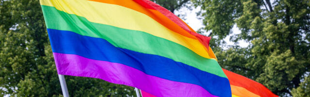 Liberaalide jõhker plaan – homopropaganda surutakse ametlikult kooliprogrammi