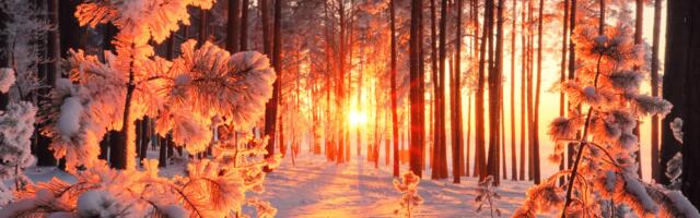 Päevahoroskoop : esmaspäev, 26. jaanuar